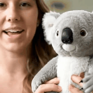 Koaly Plush Comfort Companion